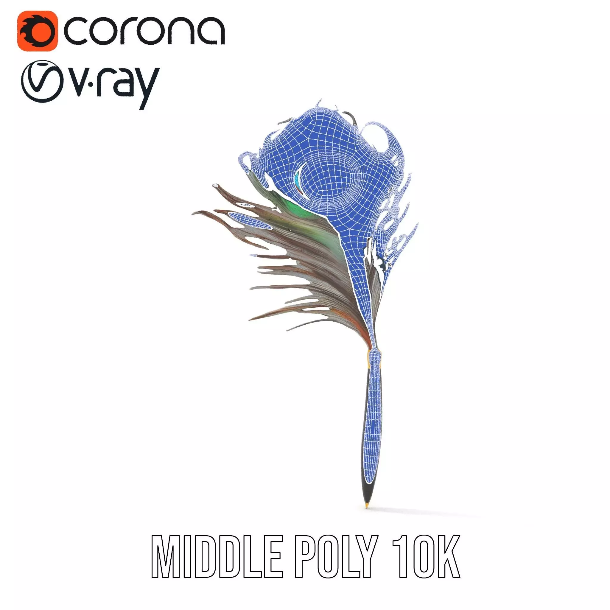 Elegant Peacock Quill Pen model pack Low-poly 3D model_30