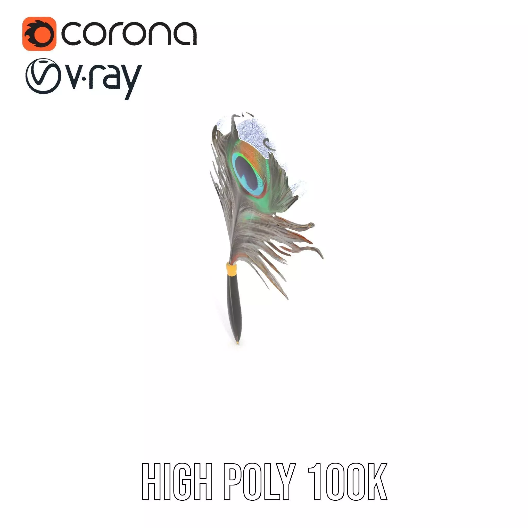 Elegant Peacock Quill Pen model pack Low-poly 3D model_32