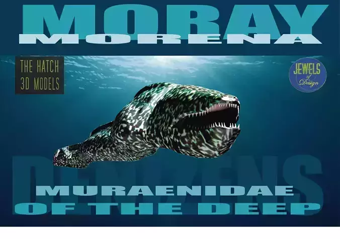 Moray fish swimming in ocean Low-poly 3D model