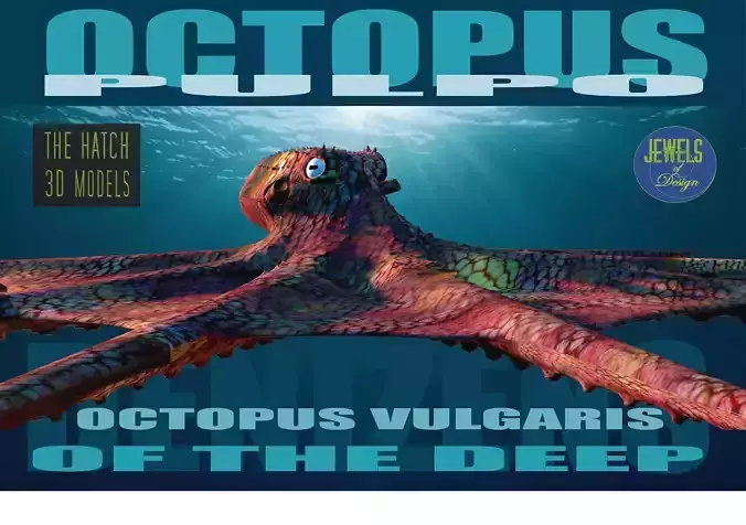 Octopus vulgaris of deep