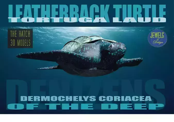 Leather back Turtle Low-poly 3D model