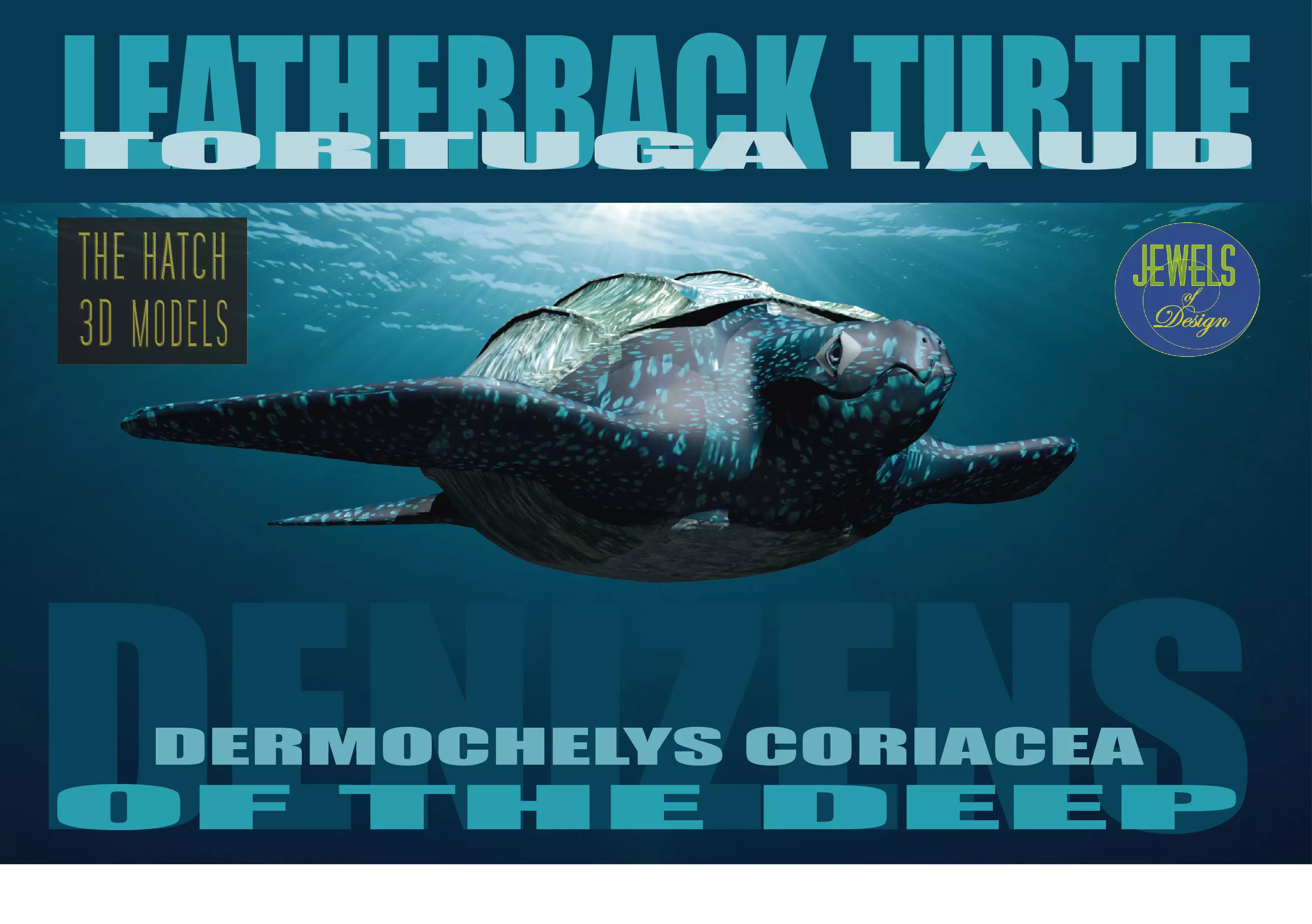 Leather back Turtle Low-poly 3D model