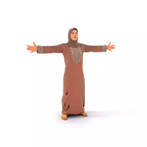 Elegant Brown Dress model pack