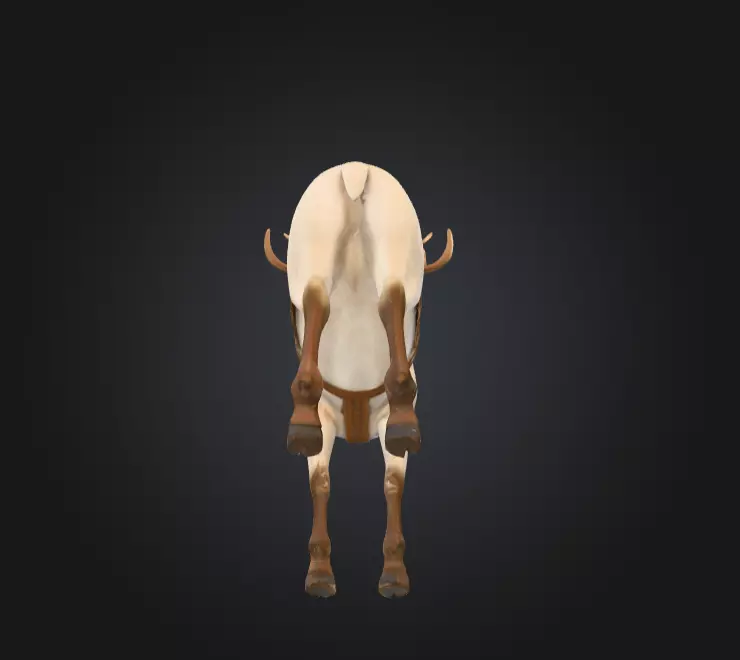 White Deer Mount Low-poly 3D model_13