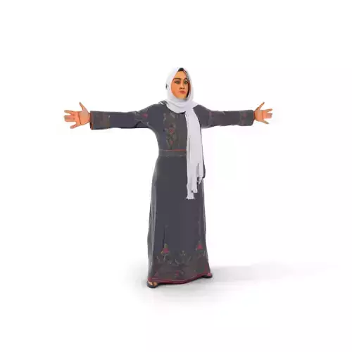 Elegant Embroidered Dress model pack