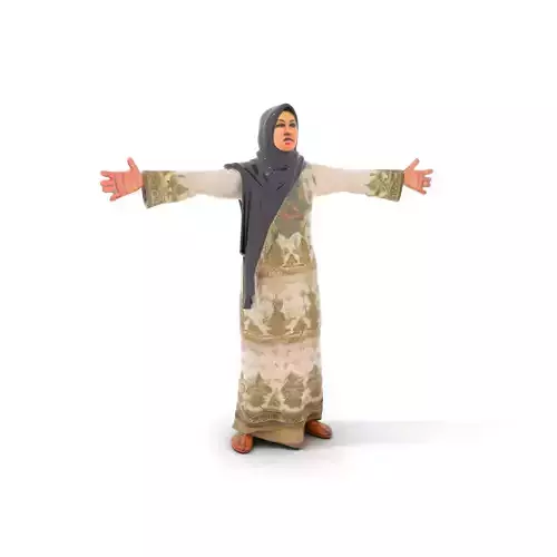 Elegant Embroidered Dress model pack