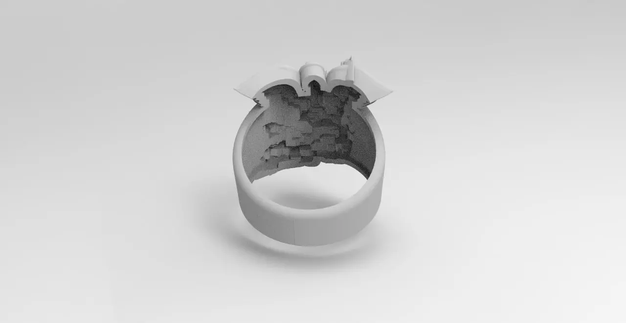 anillo san miguel  3D print model_3