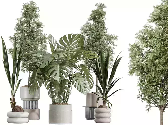 AV Indoor Plants Set 332 Swiss Cheese Olive Coconut Palm 3D model