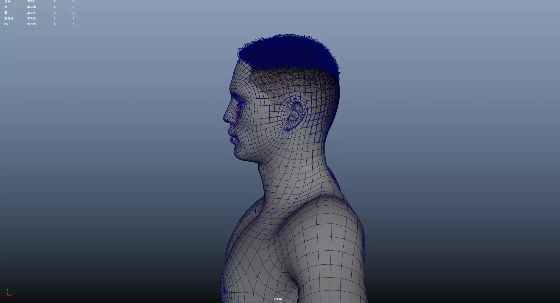 African character Hair Low-poly 3D model_8