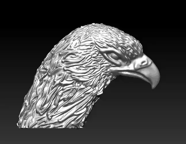 Eagle Head Modeling - 3D model 3D print model