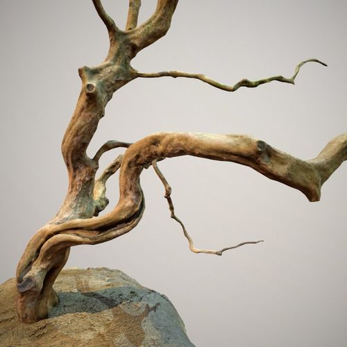 Curly tree Scan Low poly Low-poly 3D model