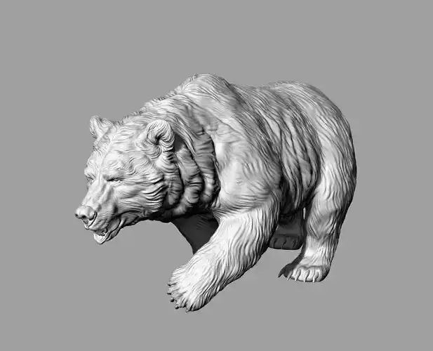 The Bear 3D