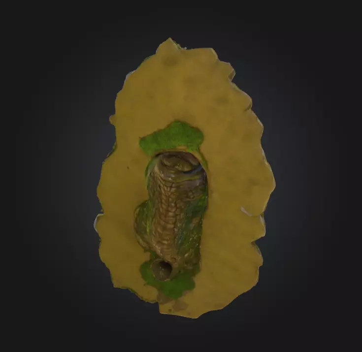 Ancient Serpent Guardian Statue Low-poly 3D model_13