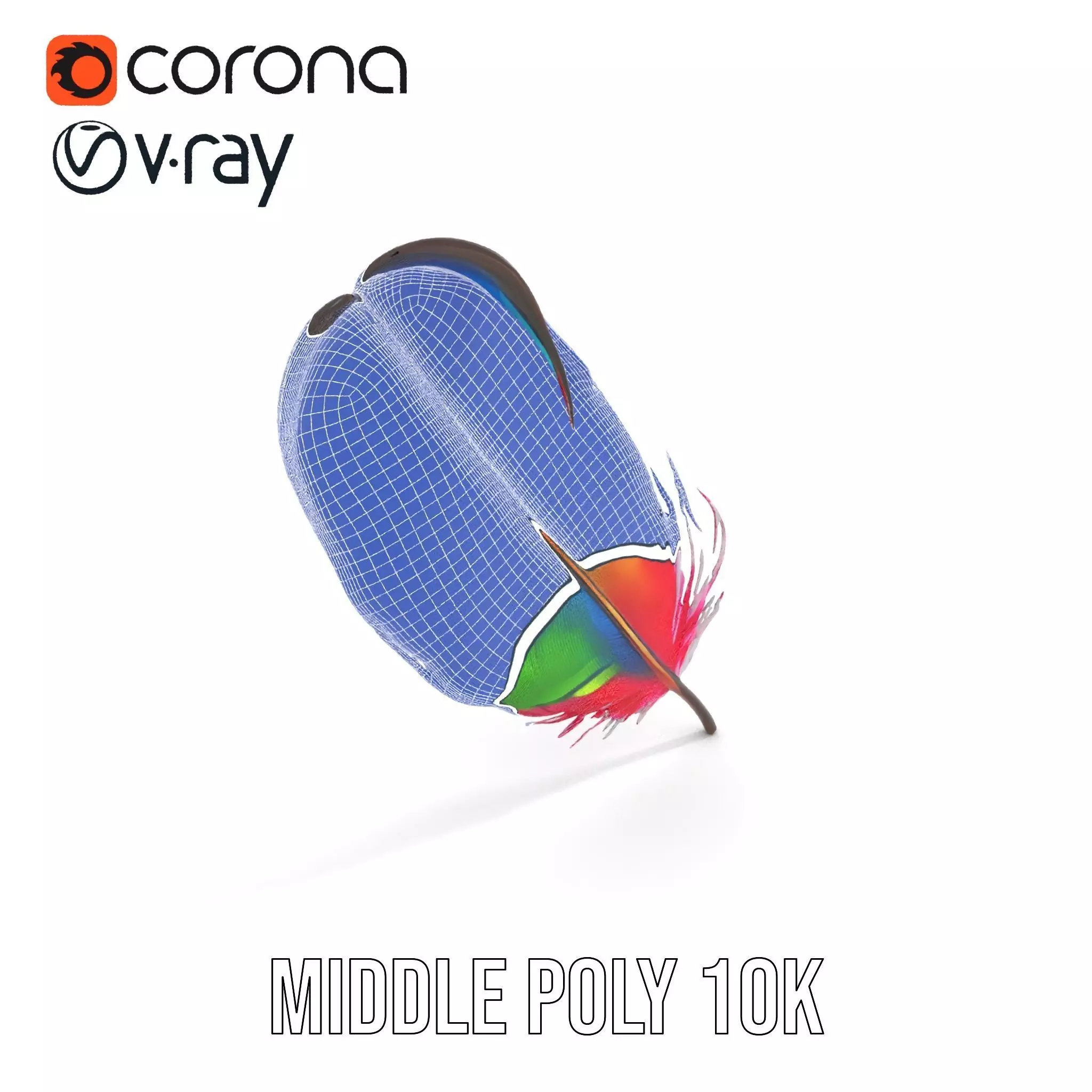 Rainbow Feather model pack Texture_26