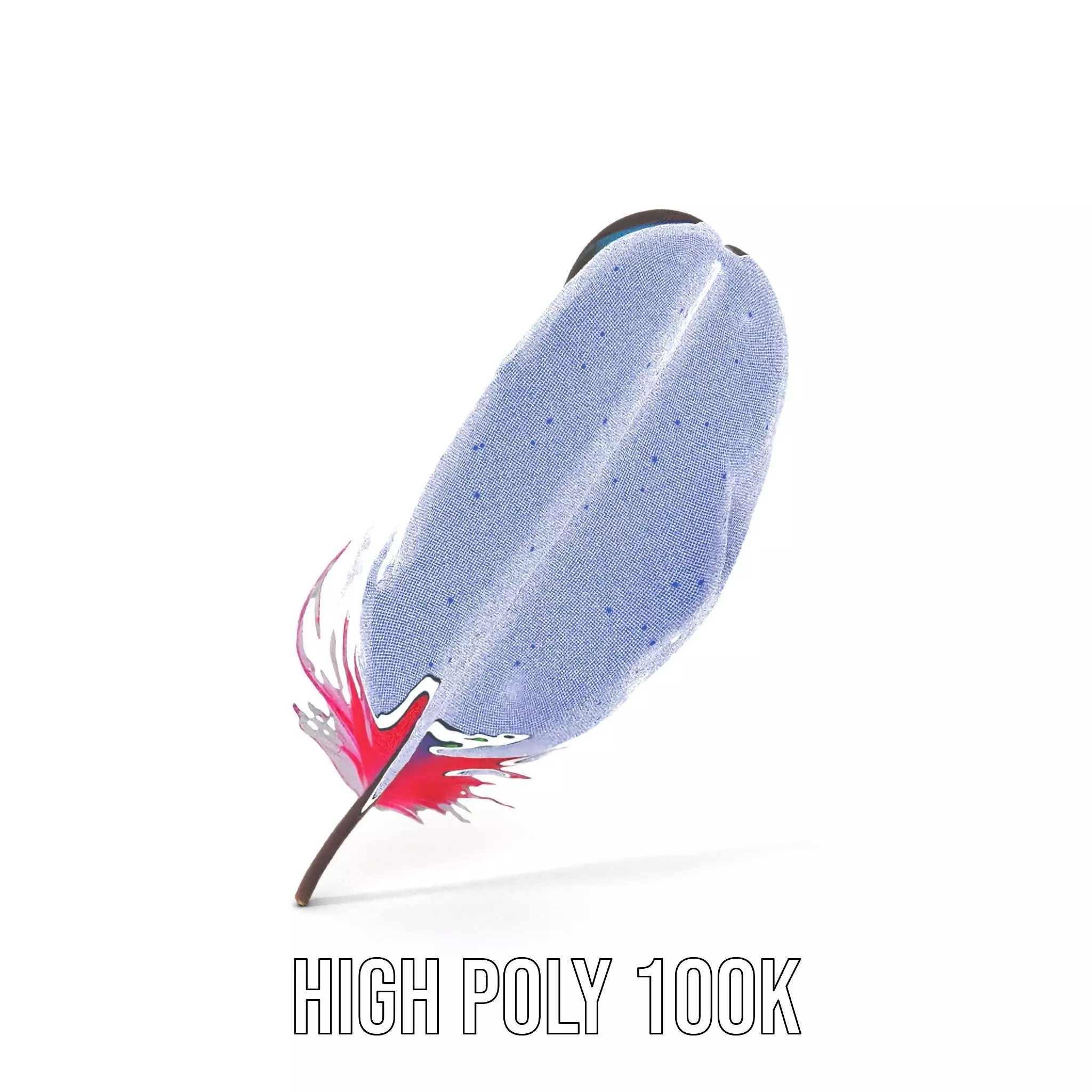 Rainbow Feather model pack Texture_4