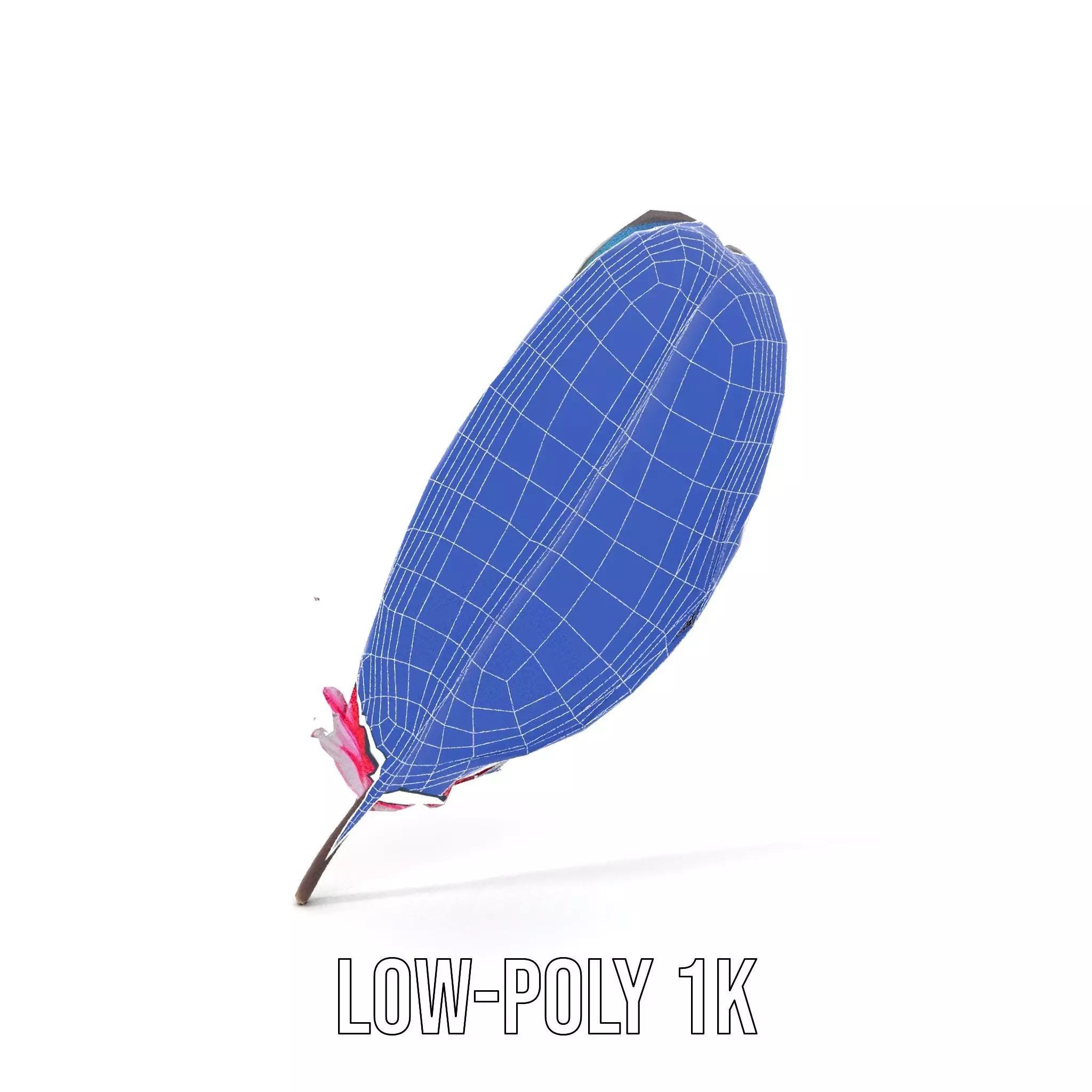 Rainbow Feather model pack Texture_15