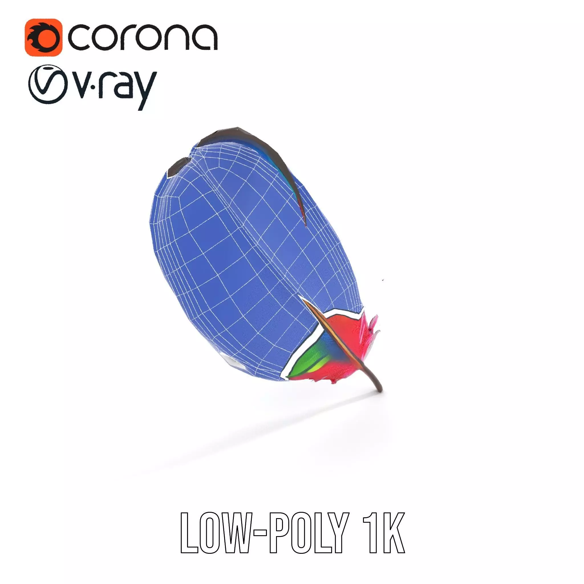 Rainbow Feather model pack Texture_17