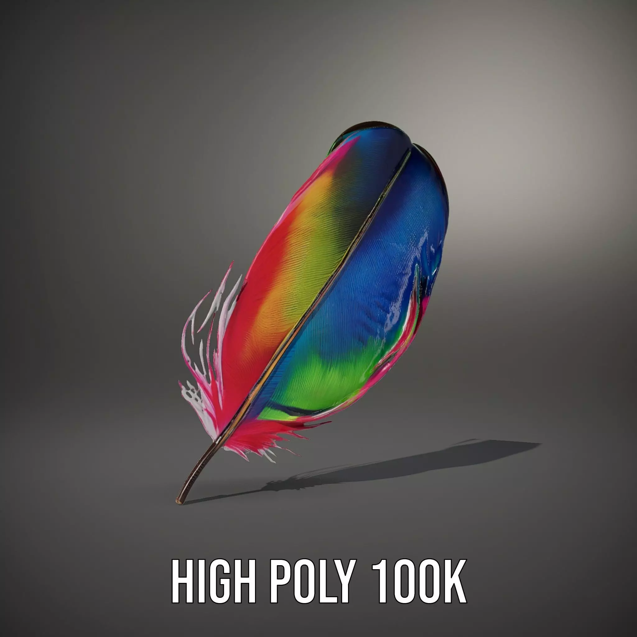 Rainbow Feather model pack Texture_8