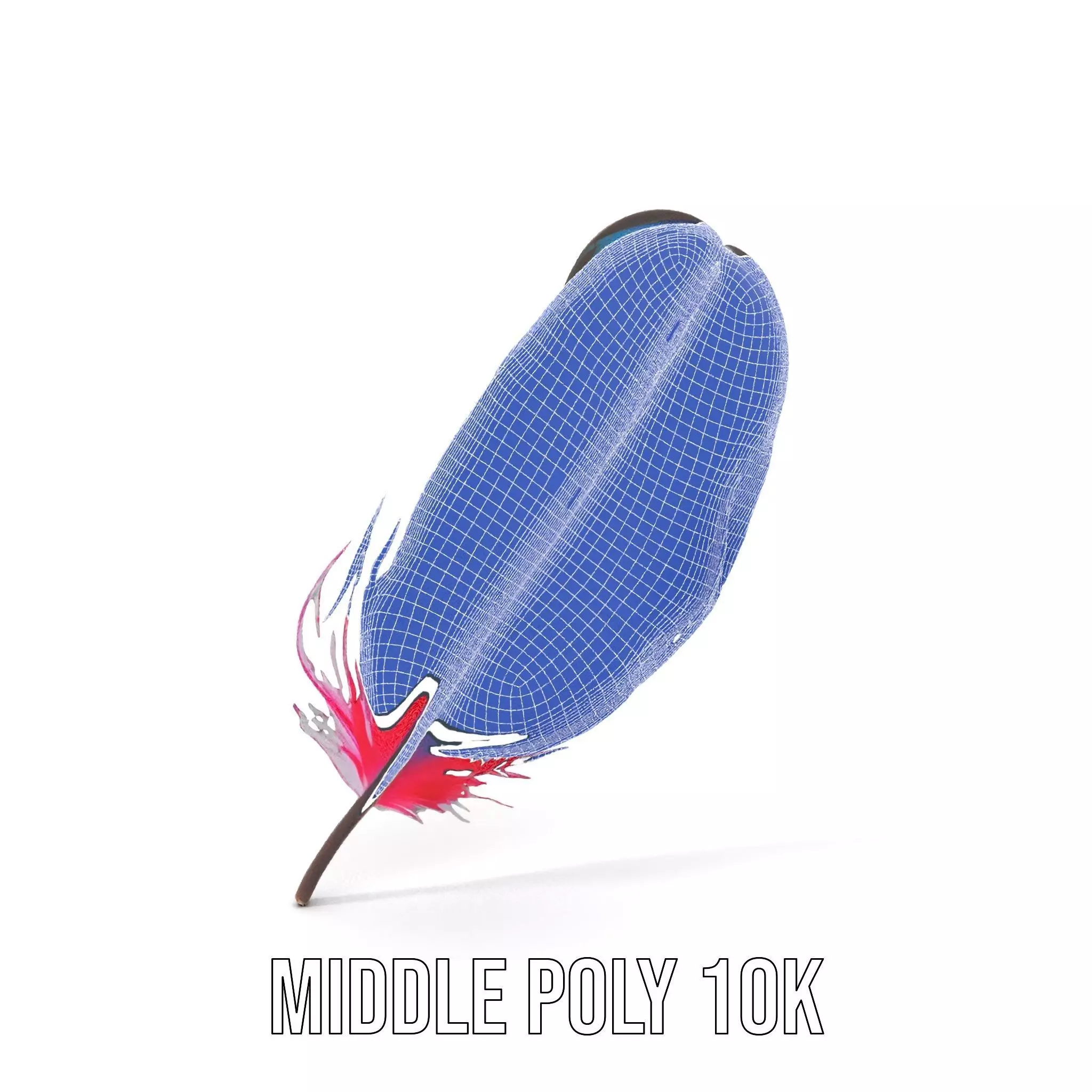 Rainbow Feather model pack Texture_24