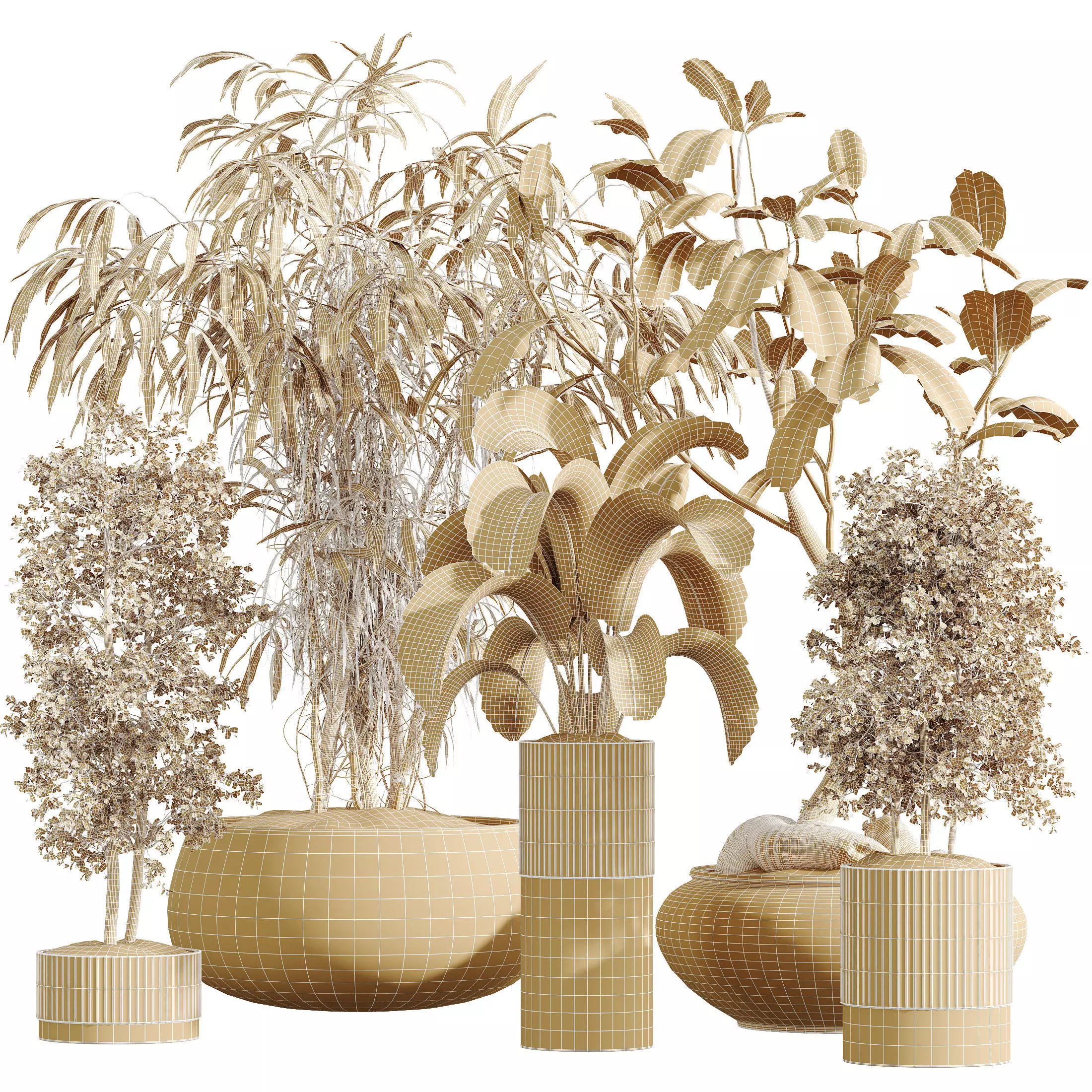 AV Indoor Plants Set 335 Banana Olive Ficus 3D model_8