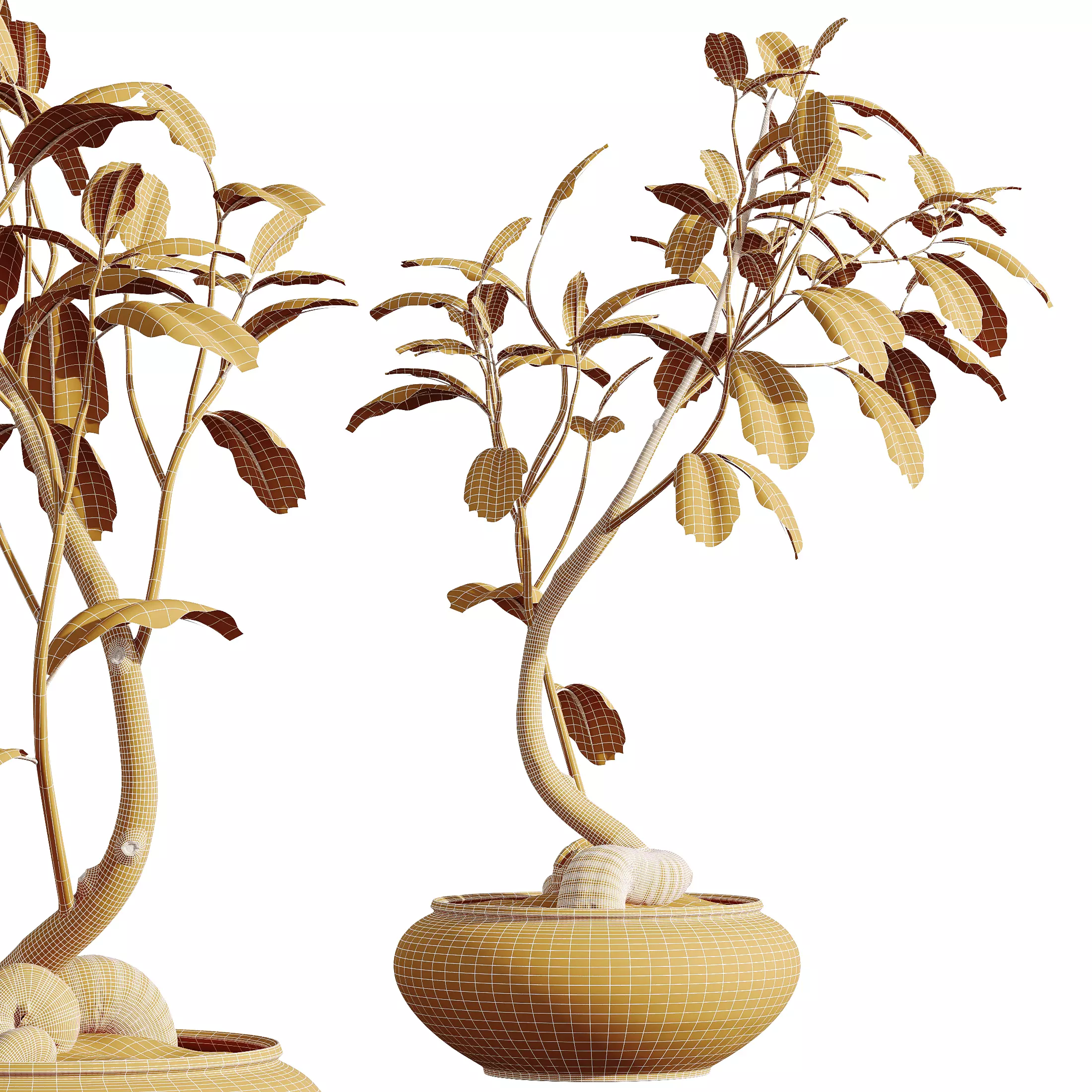 AV Indoor Plants Set 335 Banana Olive Ficus 3D model_10