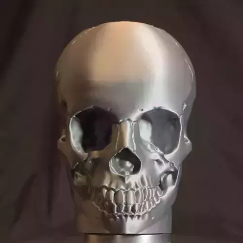 Skull Can Holder 50cl Gothic Edition