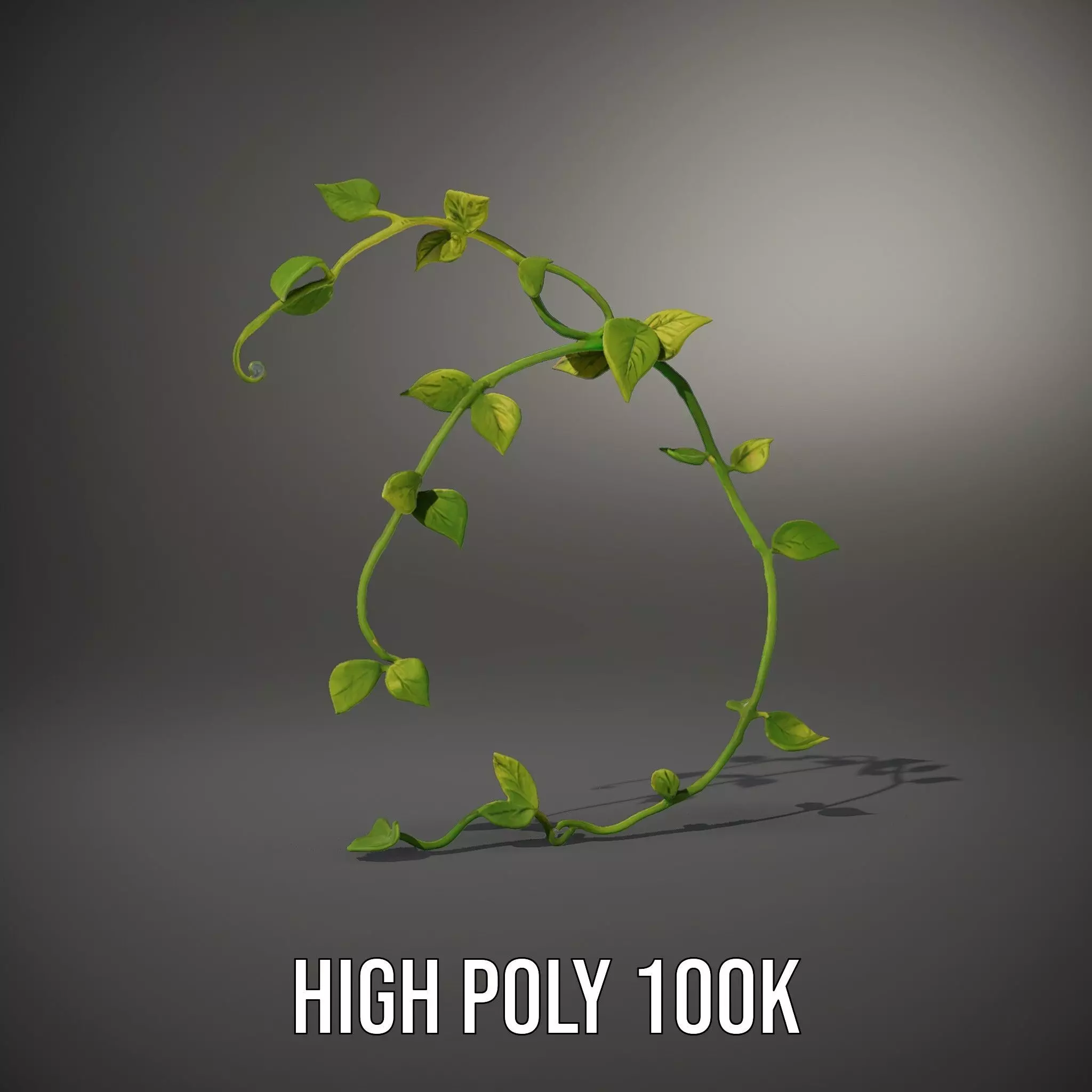 Vibrant Leafy Vine model pack Low-poly 3D model_8