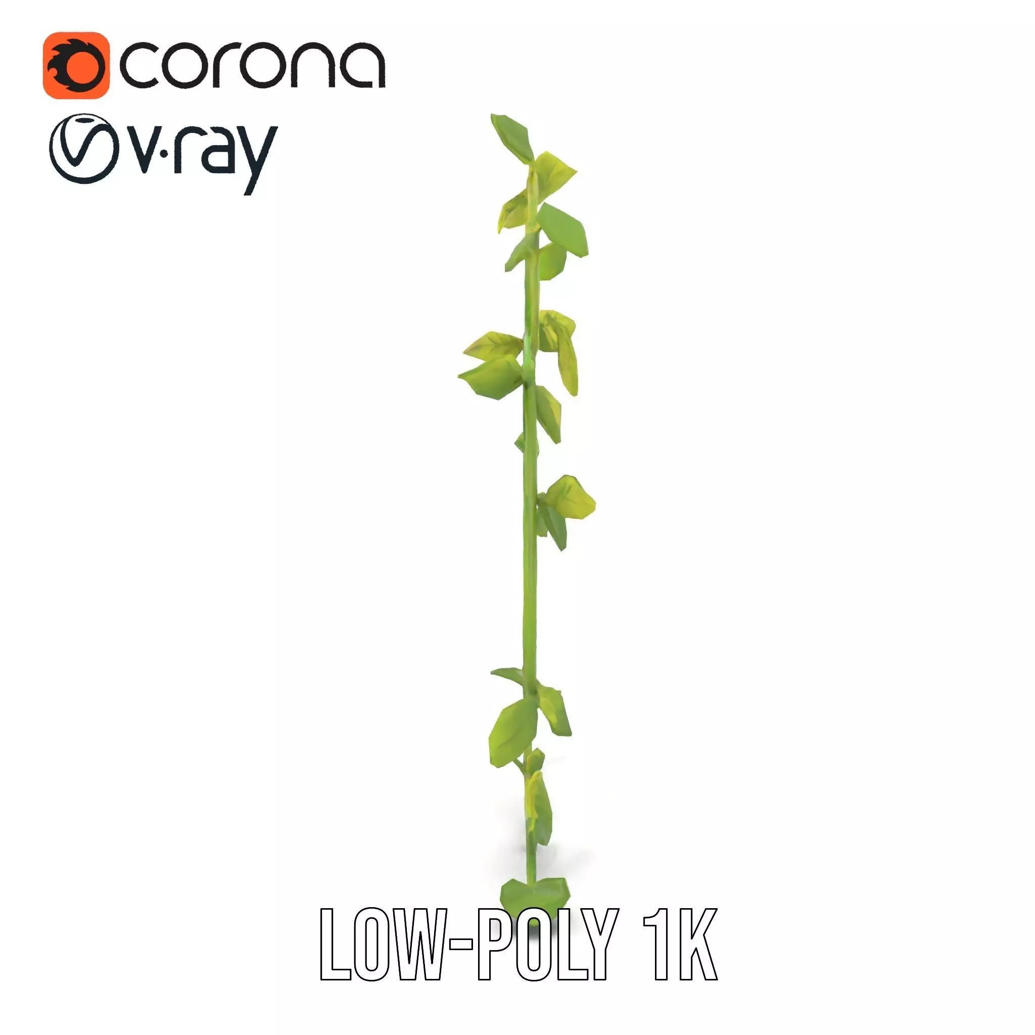 Vibrant Leafy Vine model pack Low-poly 3D model_17