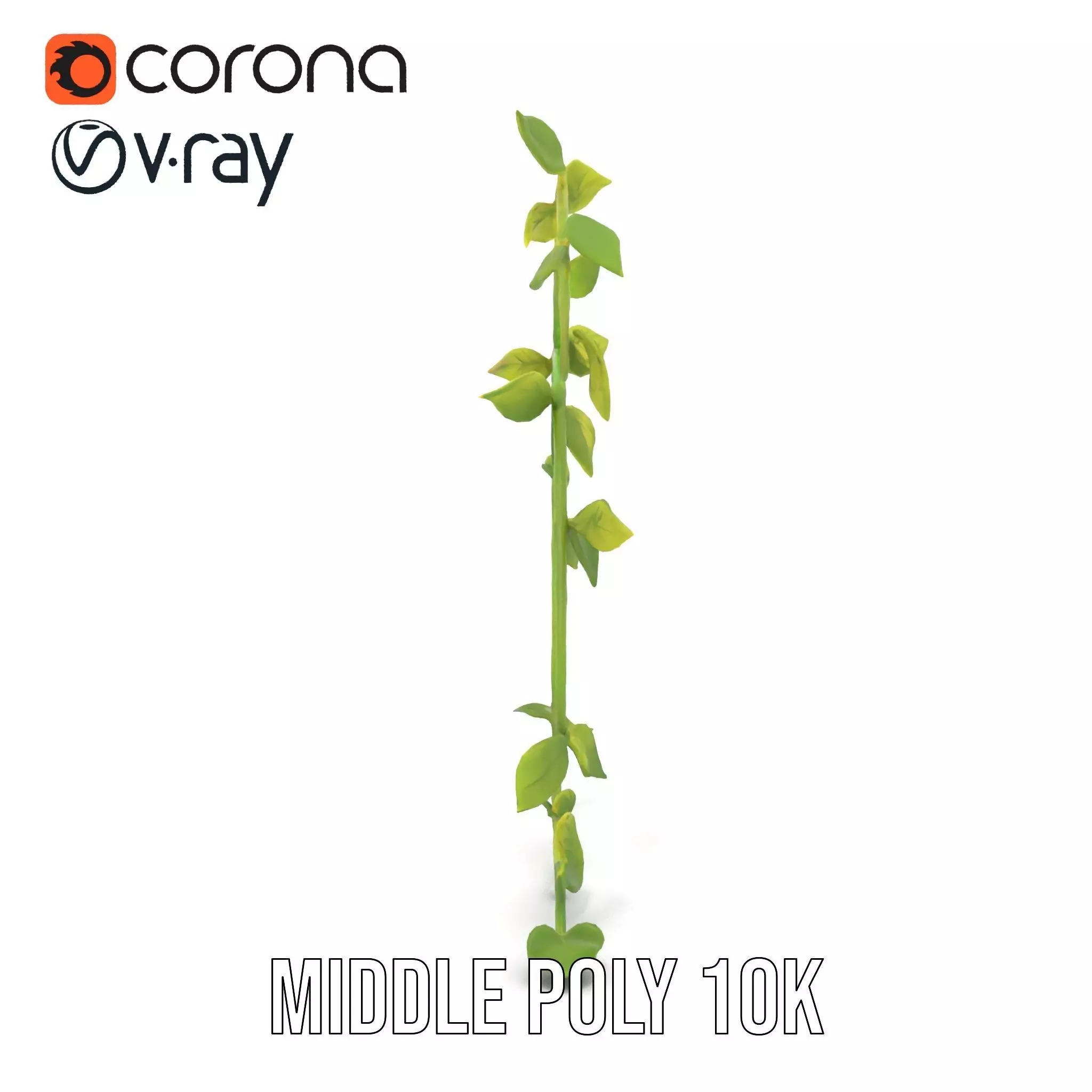 Vibrant Leafy Vine model pack Low-poly 3D model_16