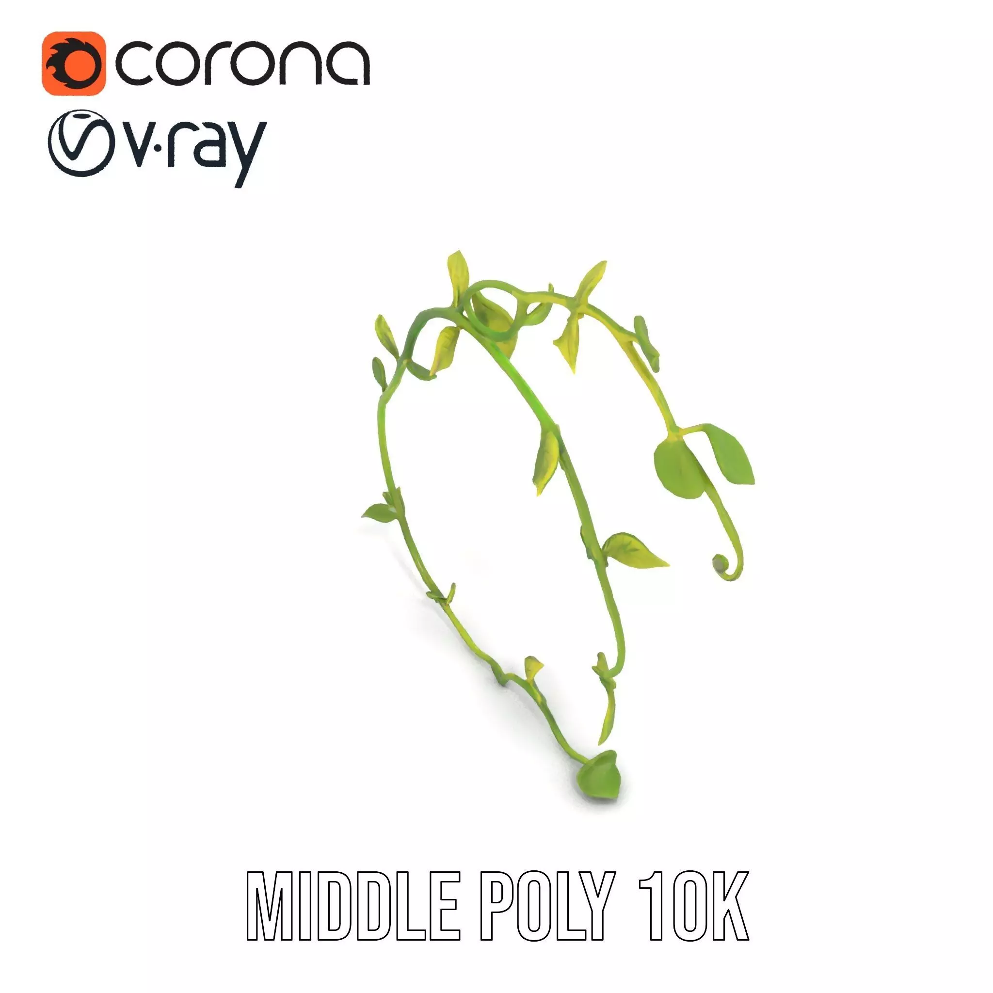 Vibrant Leafy Vine model pack Low-poly 3D model_13