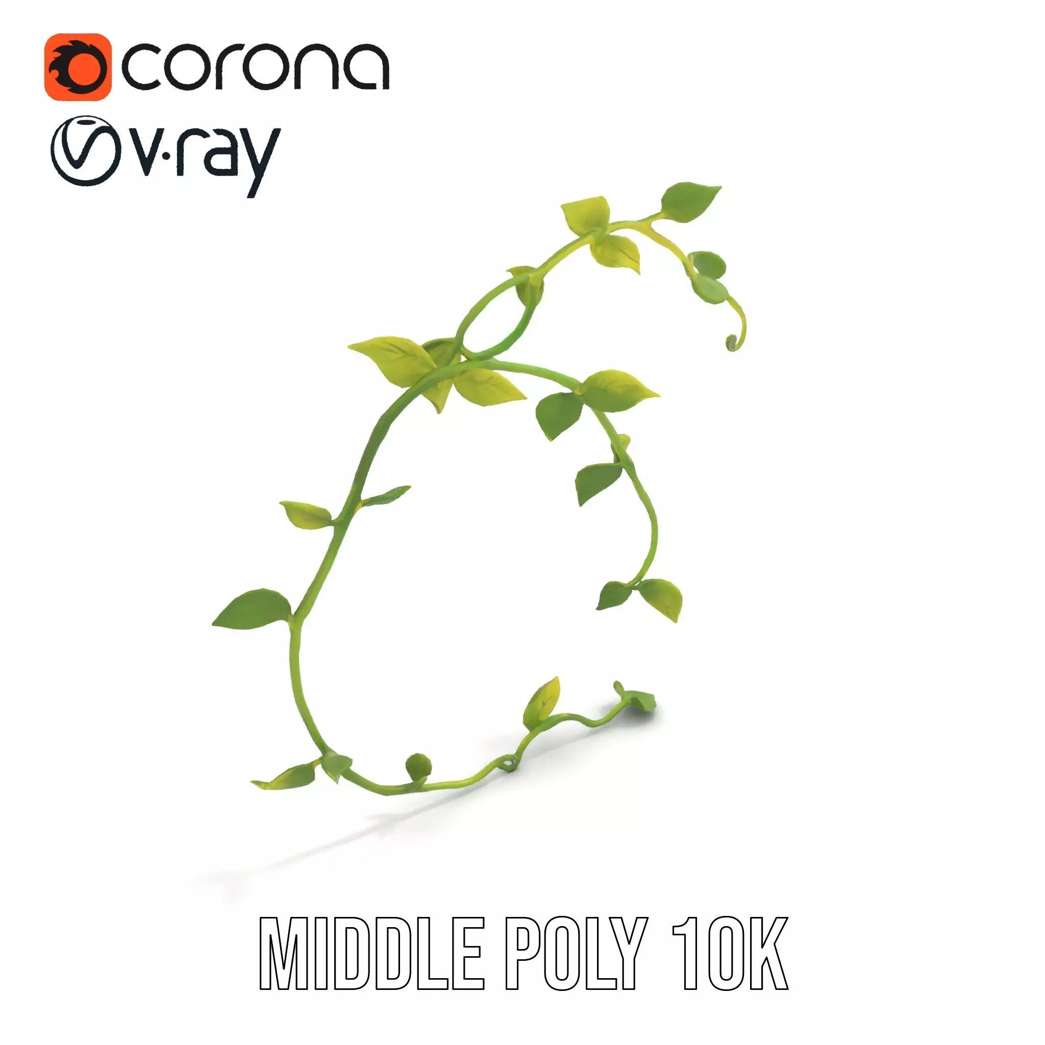 Vibrant Leafy Vine model pack Low-poly 3D model_6