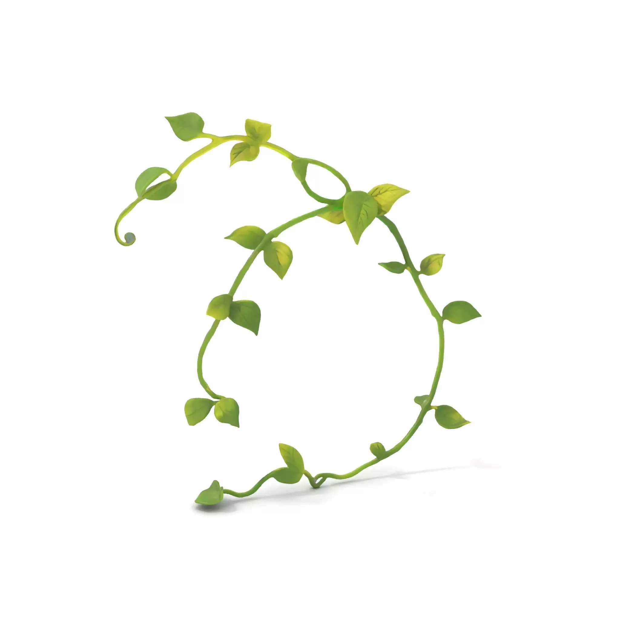 Vibrant Leafy Vine model pack Low-poly 3D model_0