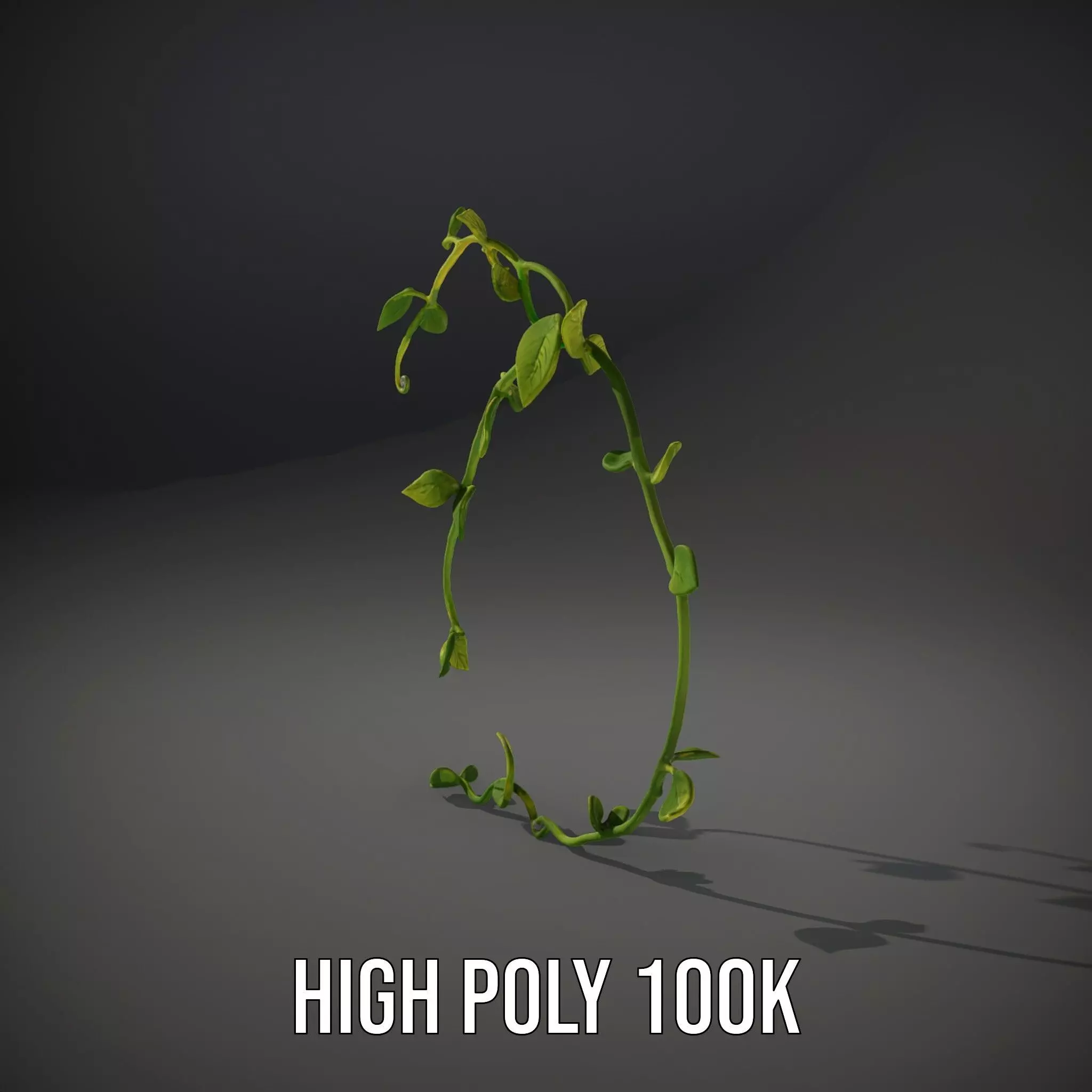Vibrant Leafy Vine model pack Low-poly 3D model_10