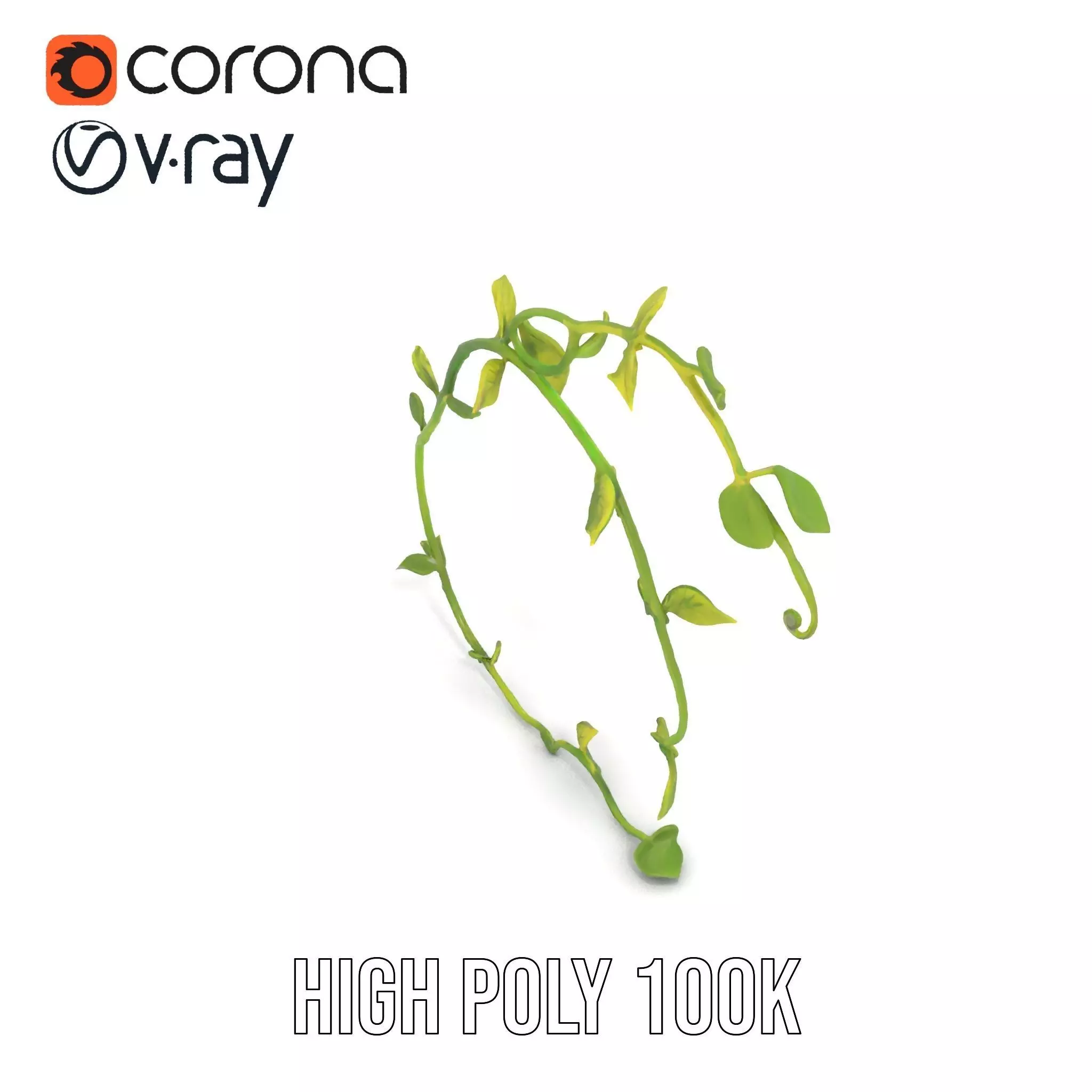 Vibrant Leafy Vine model pack Low-poly 3D model_18