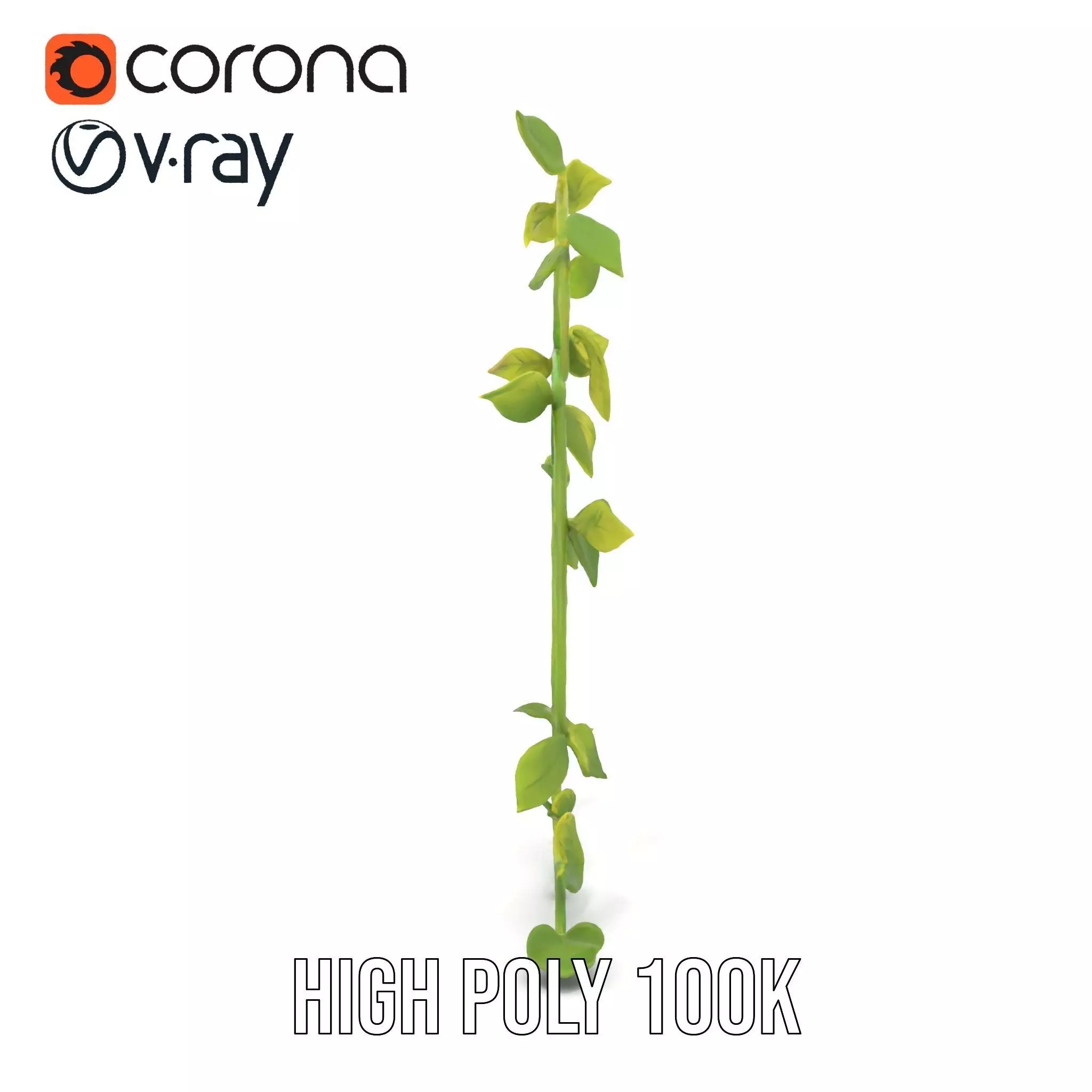 Vibrant Leafy Vine model pack Low-poly 3D model_21