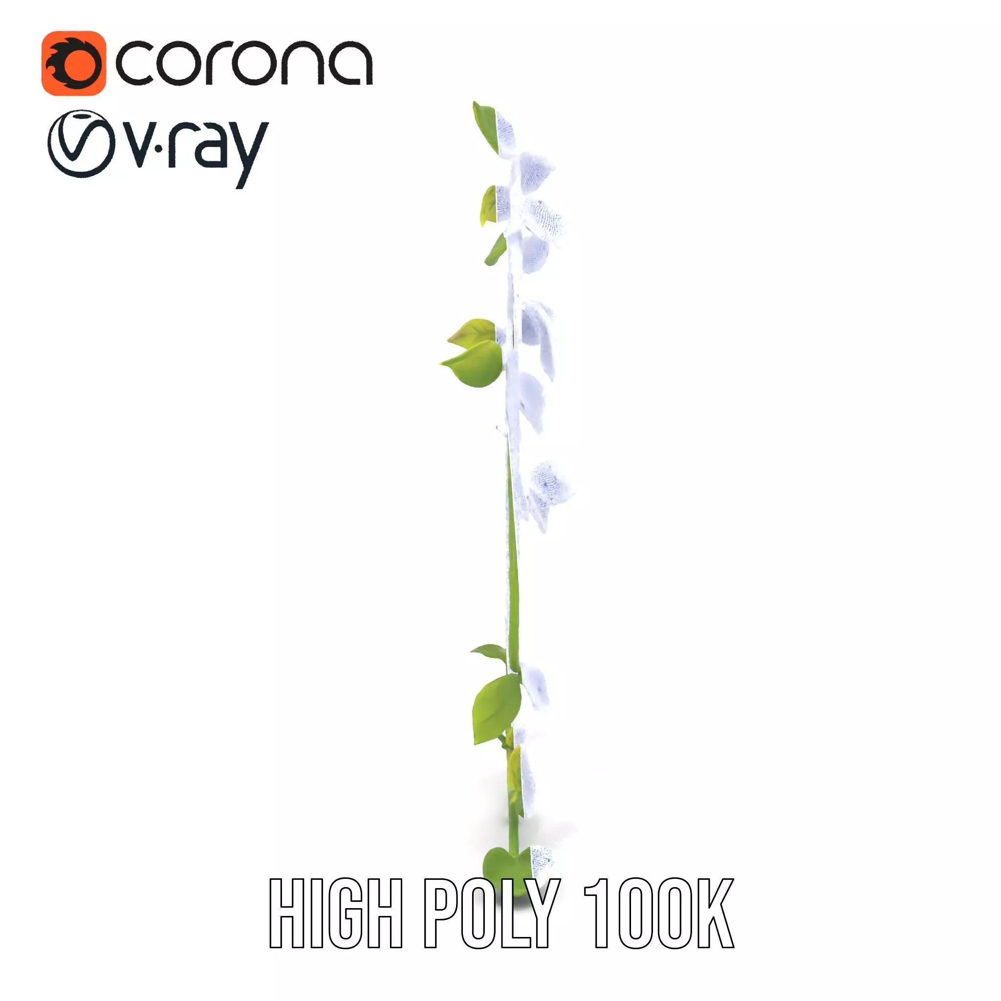 Vibrant Leafy Vine model pack Low-poly 3D model_31