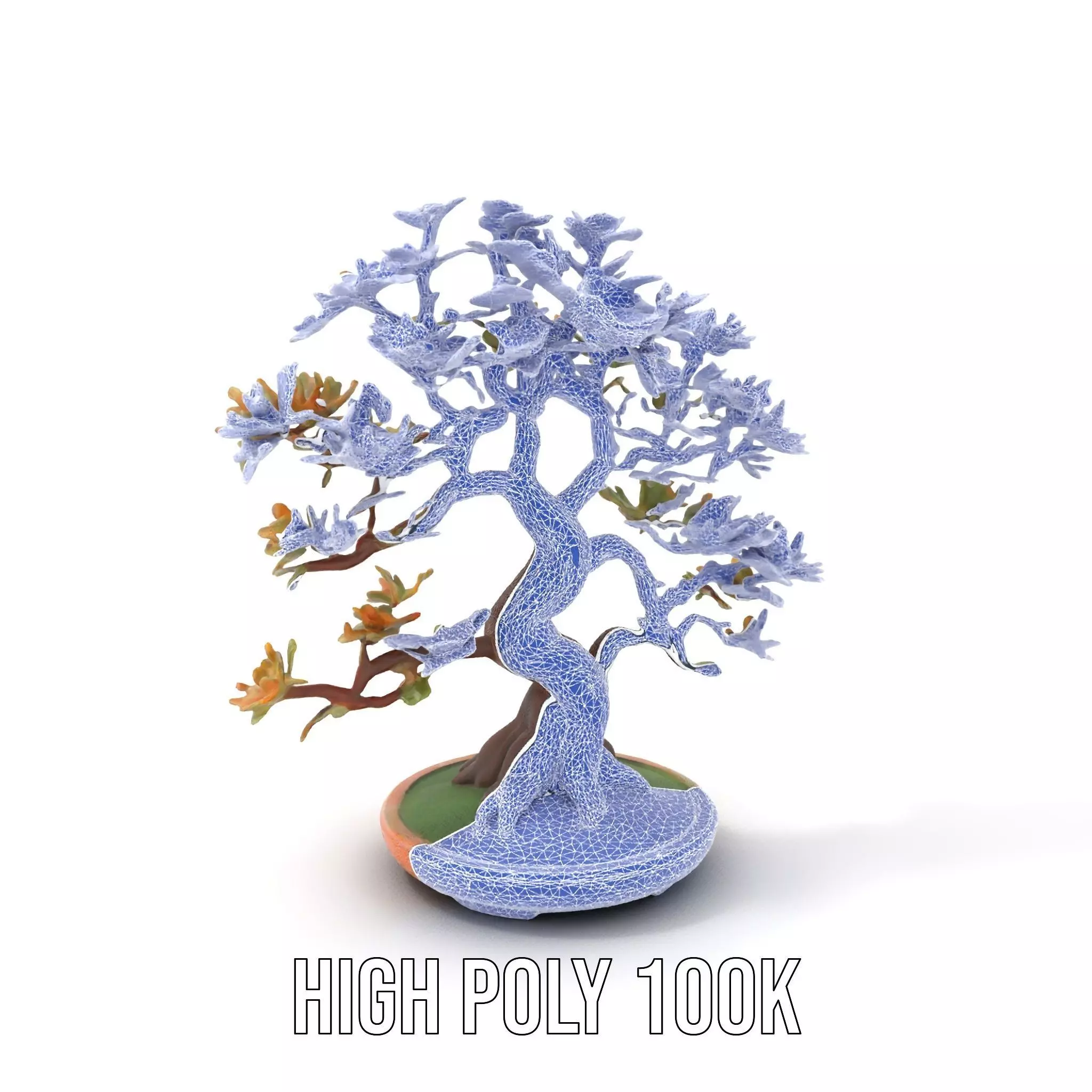 Realistic Bonsai Tree model pack Low-poly 3D model_9