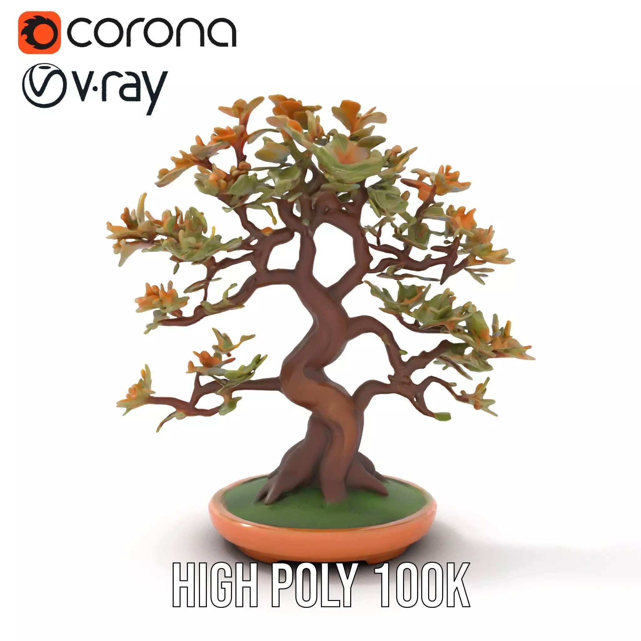 Realistic Bonsai Tree model pack Low-poly 3D model_22