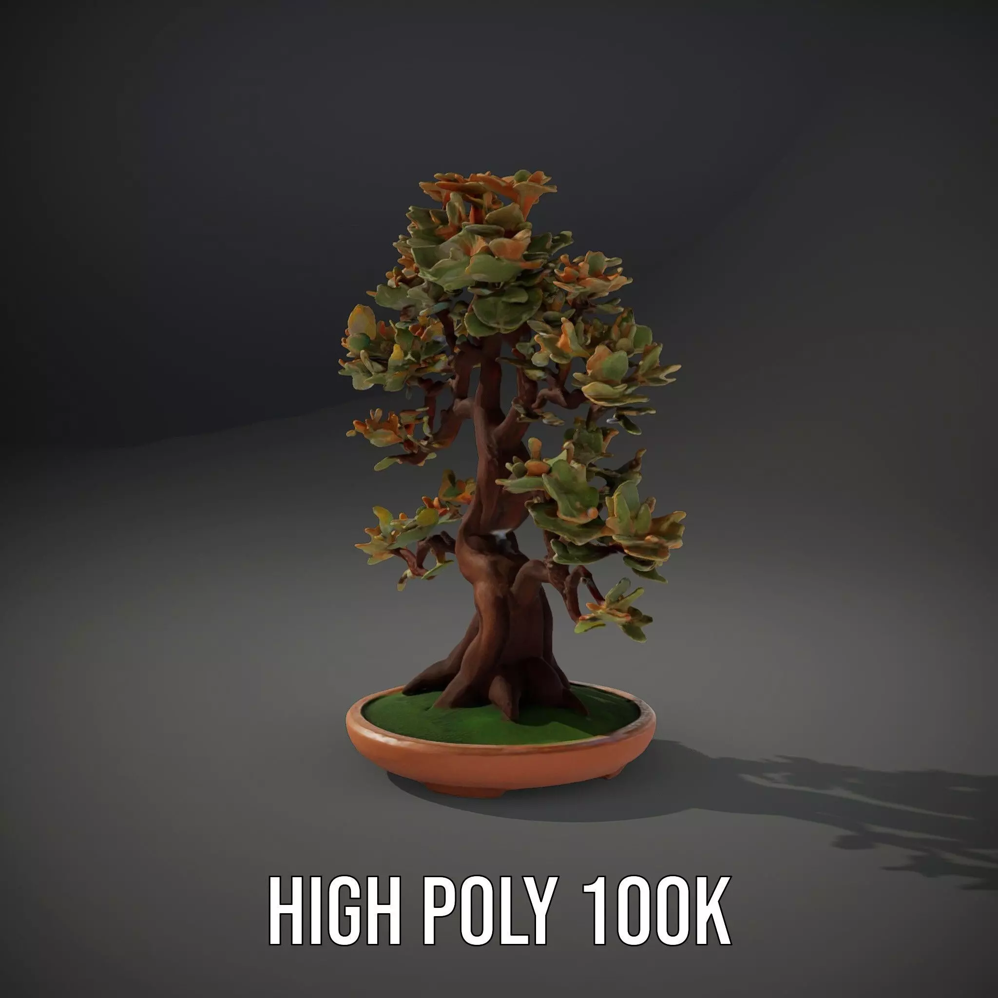 Realistic Bonsai Tree model pack Low-poly 3D model_10