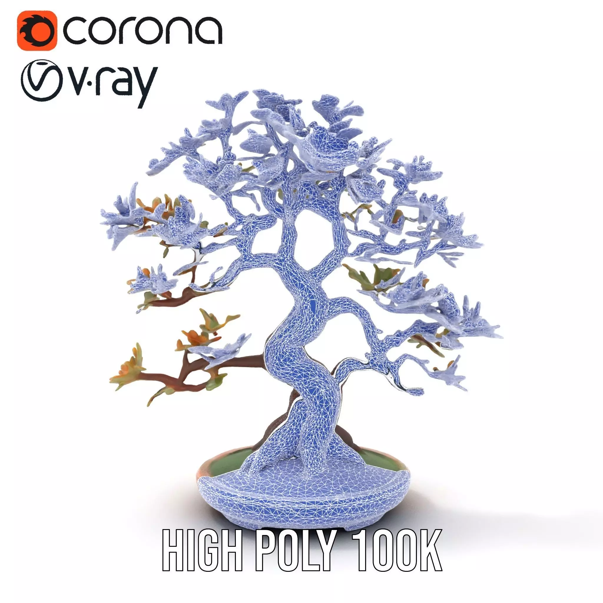 Realistic Bonsai Tree model pack Low-poly 3D model_31