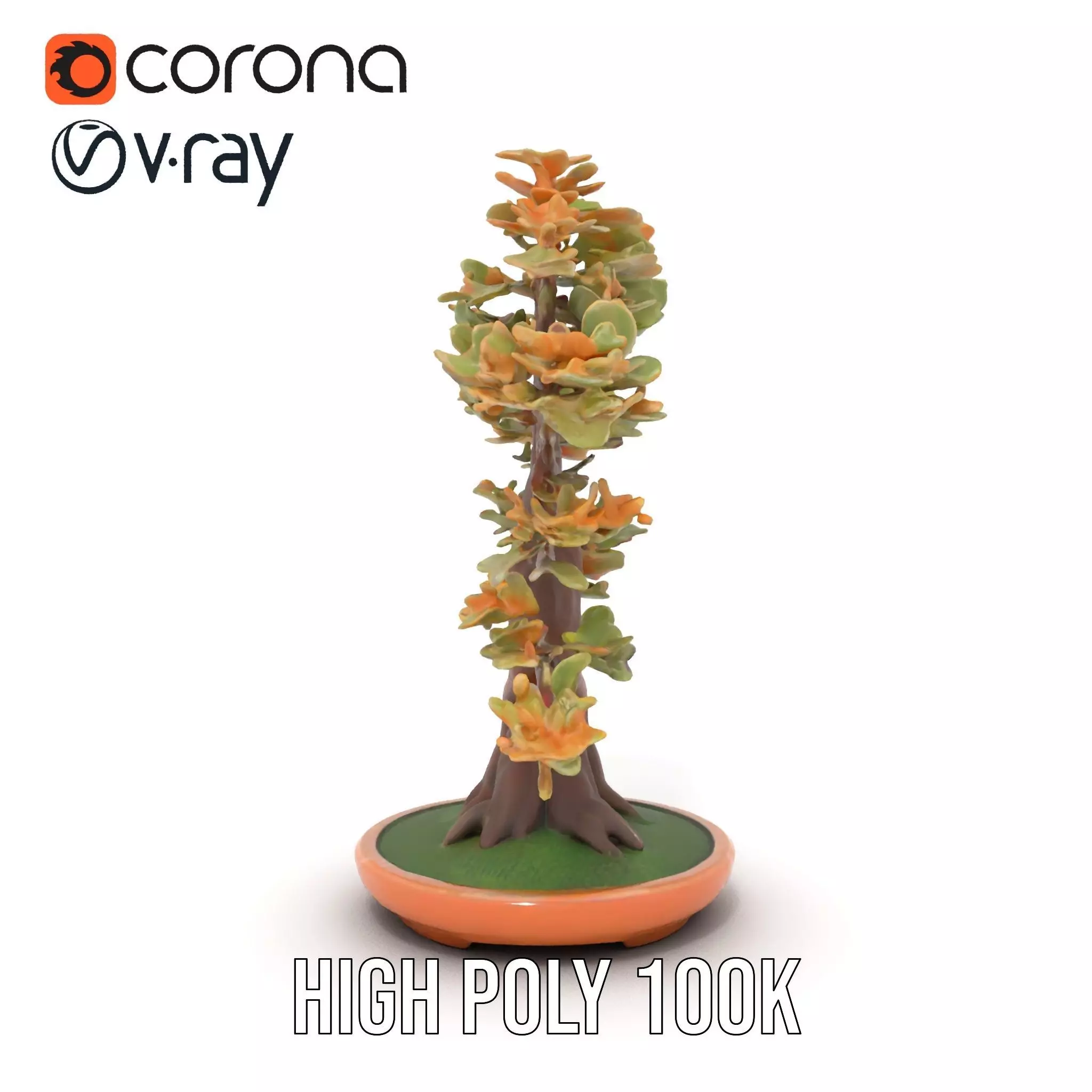 Realistic Bonsai Tree model pack Low-poly 3D model_25