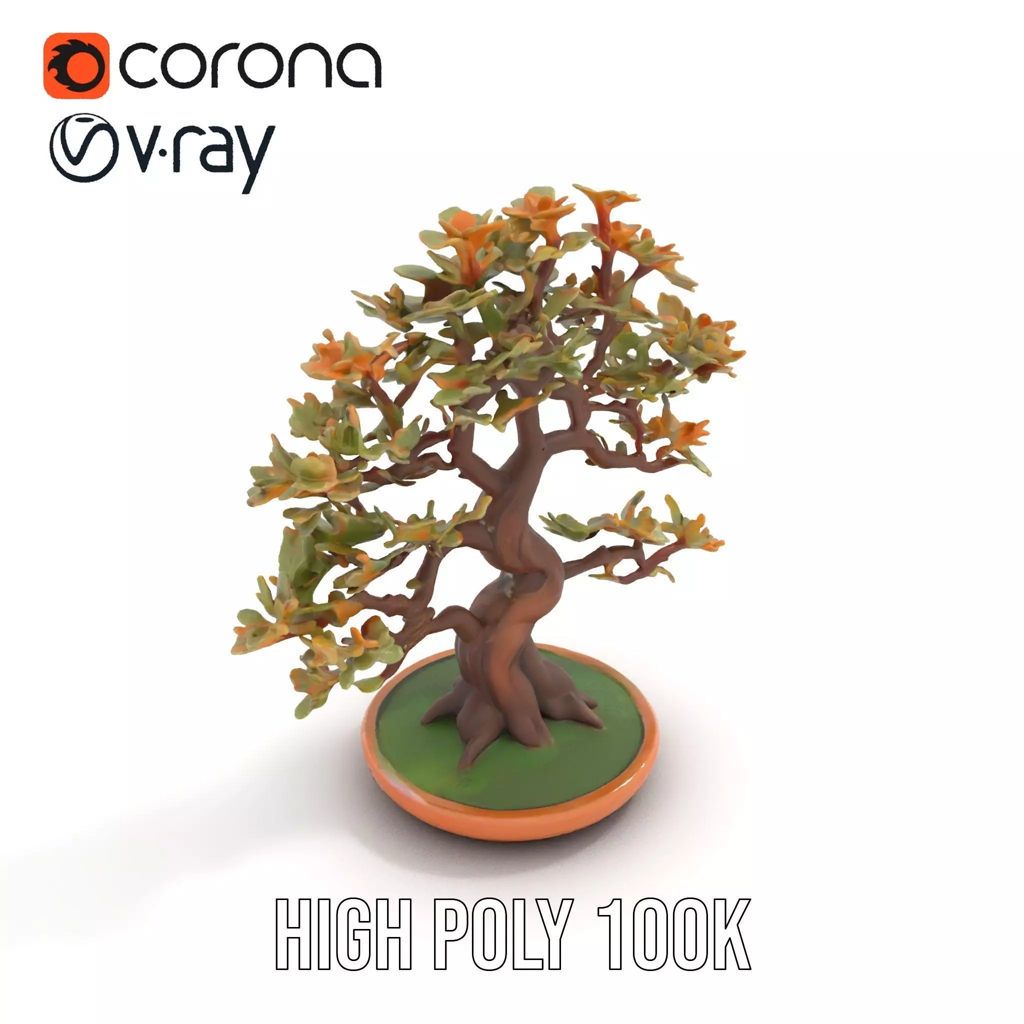 Realistic Bonsai Tree model pack Low-poly 3D model_26