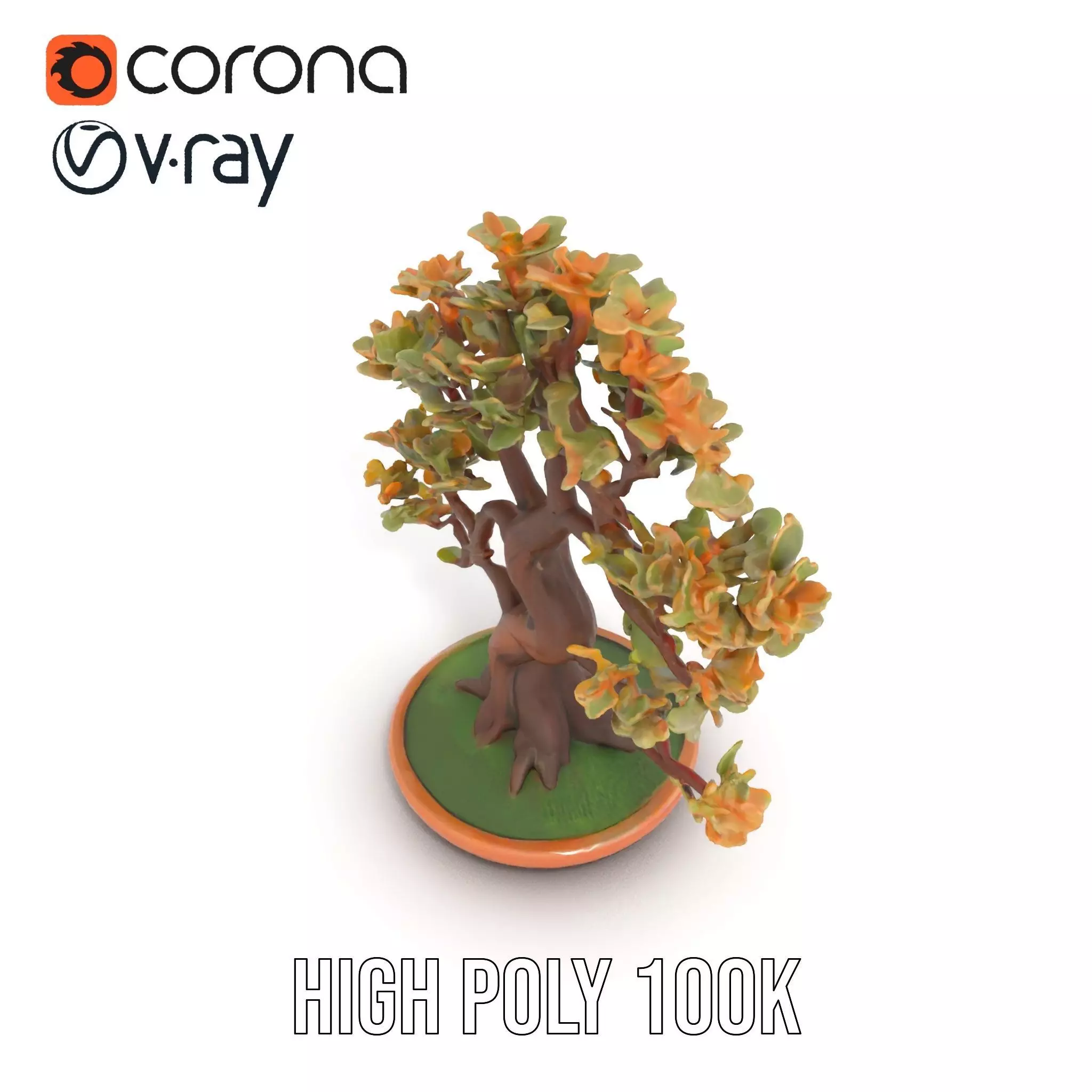 Realistic Bonsai Tree model pack Low-poly 3D model_5