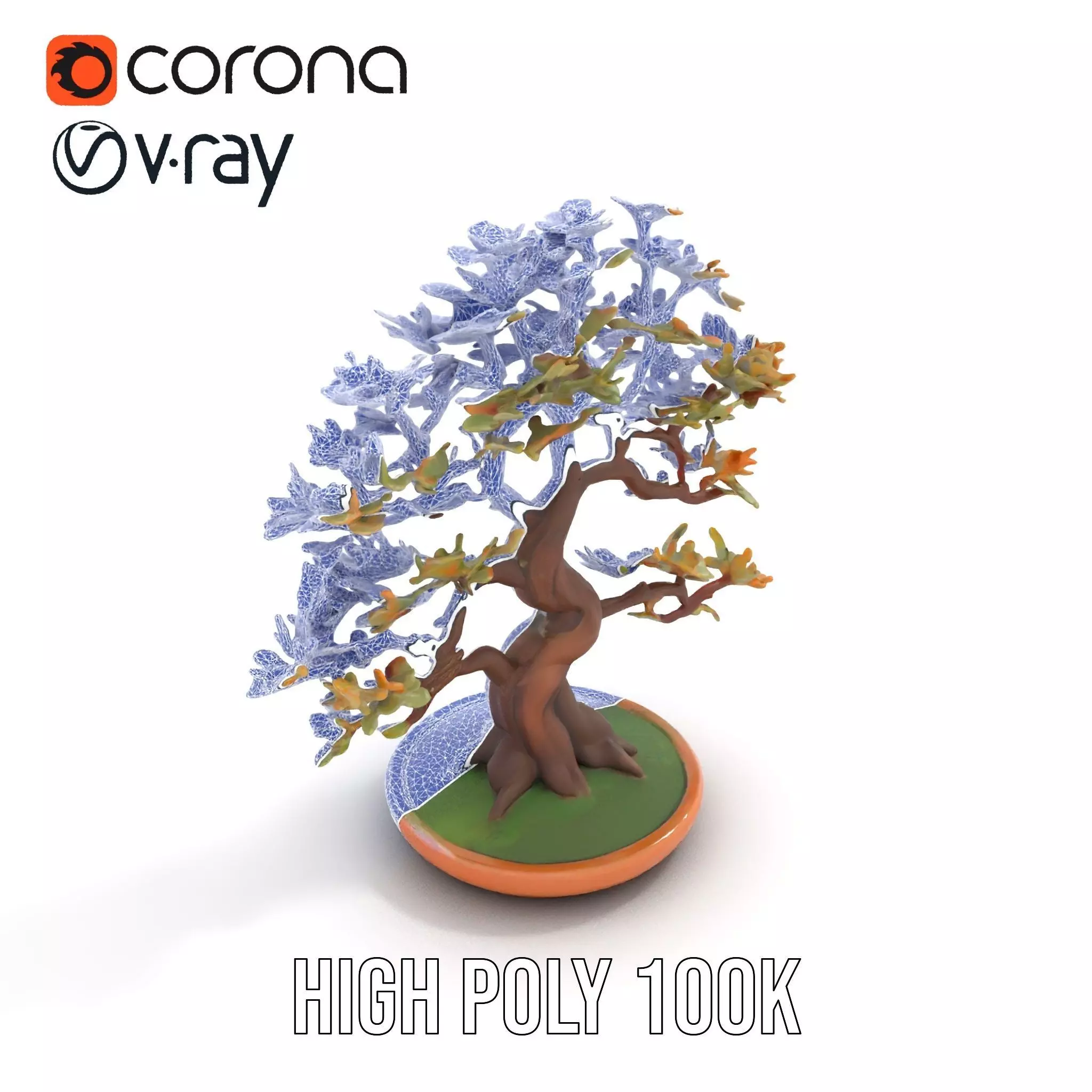 Realistic Bonsai Tree model pack Low-poly 3D model_12