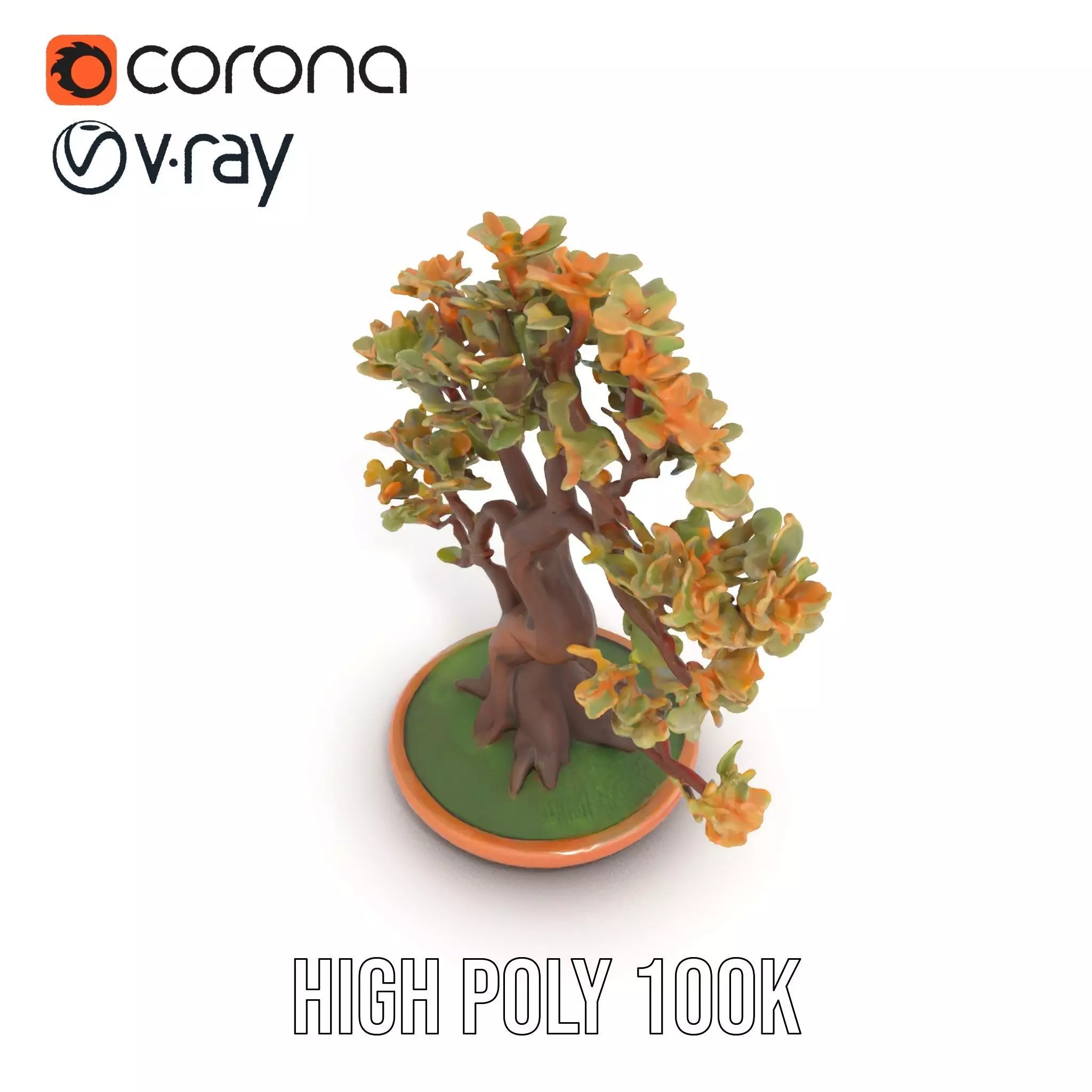 Realistic Bonsai Tree model pack Low-poly 3D model_17