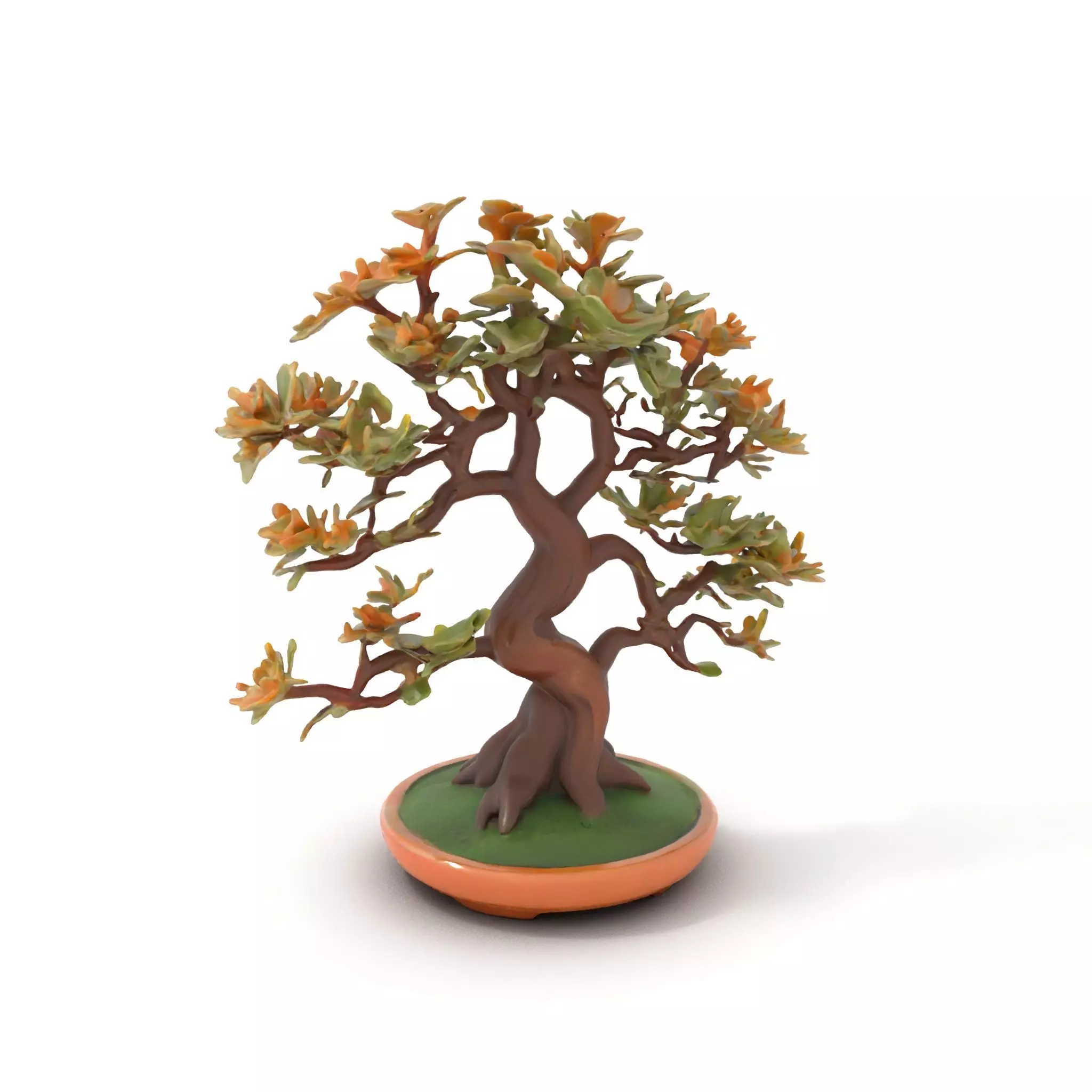 Realistic Bonsai Tree model pack Low-poly 3D model_7