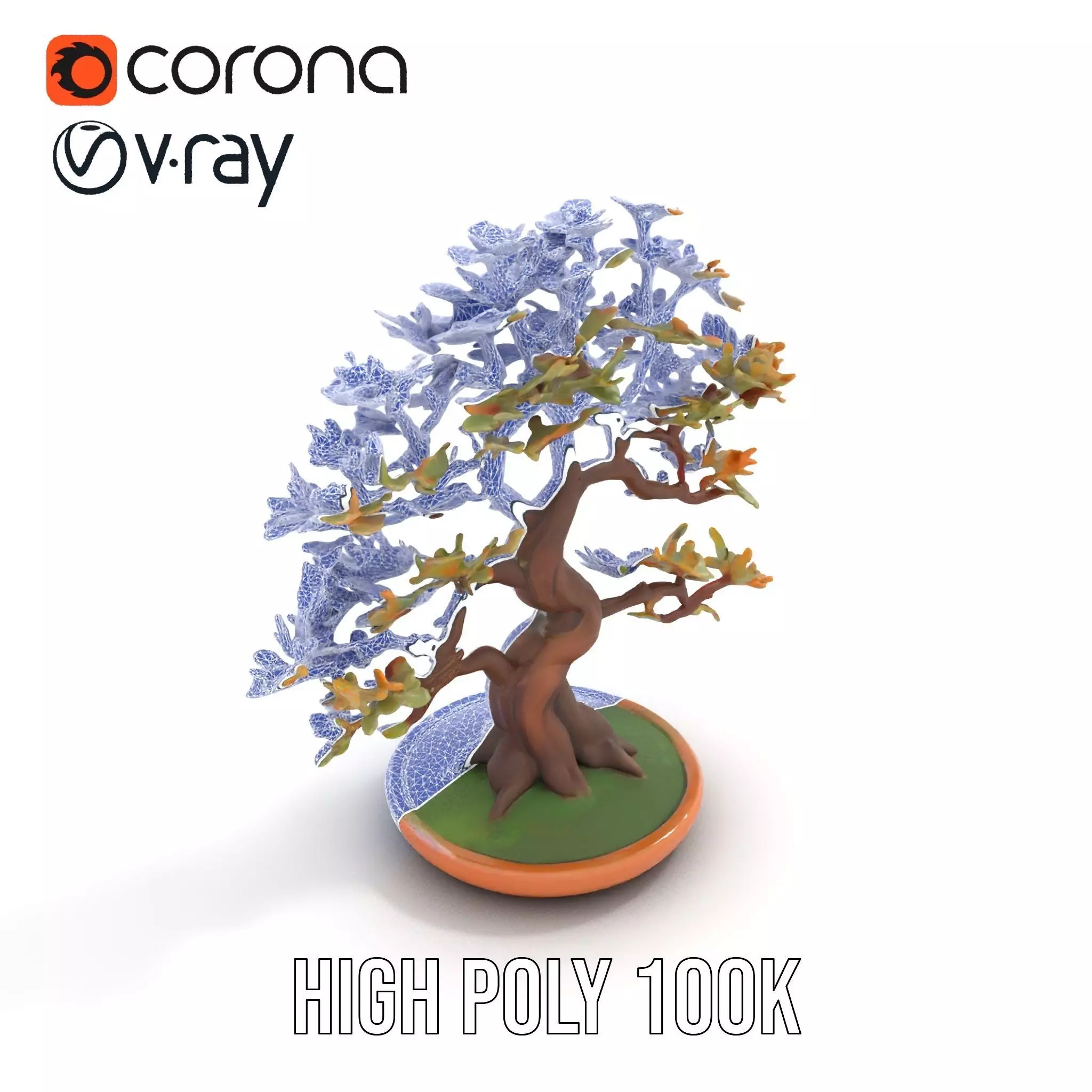 Realistic Bonsai Tree model pack Low-poly 3D model_11