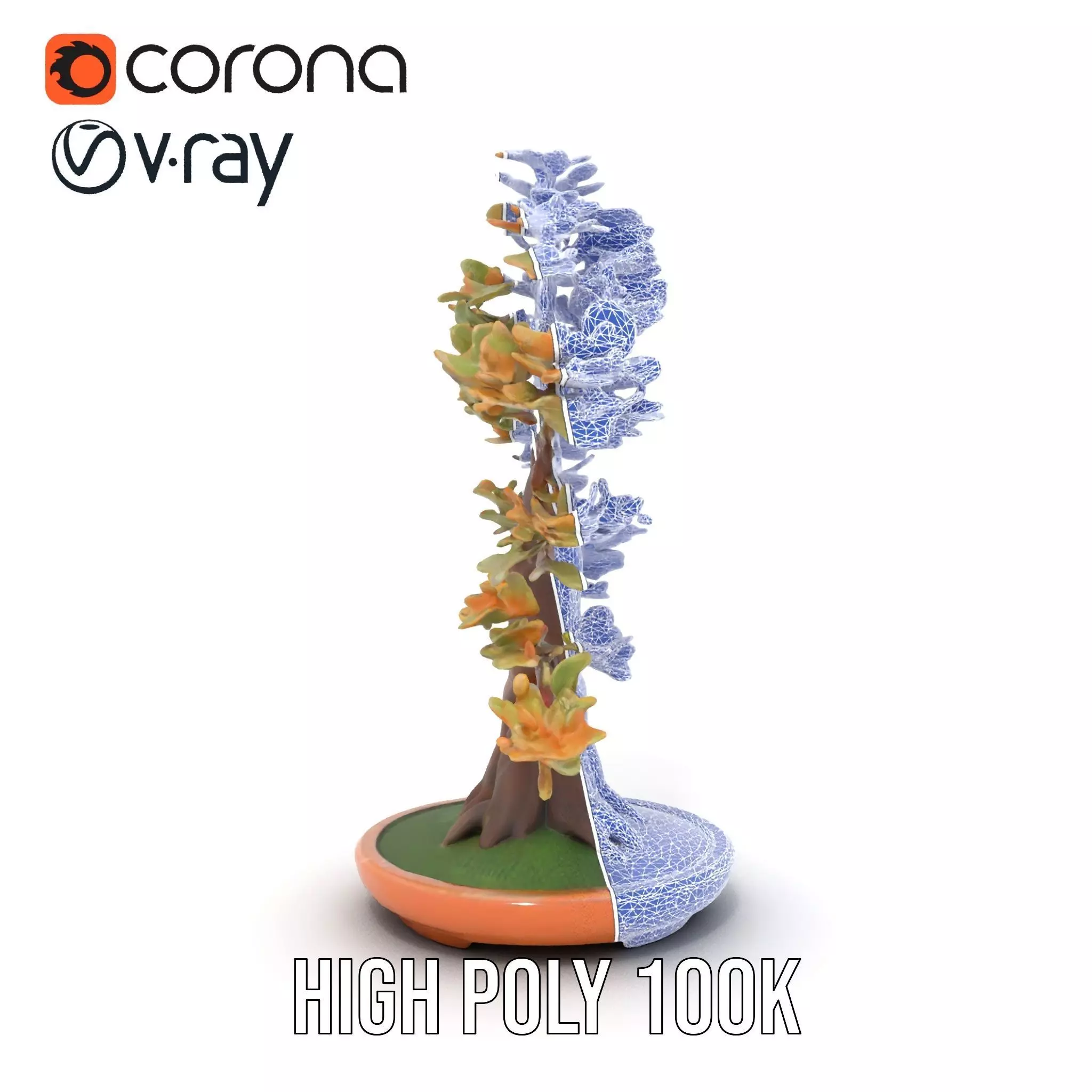 Realistic Bonsai Tree model pack Low-poly 3D model_29