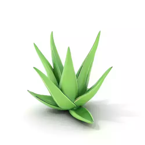 Green Aloe Vera model pack Low-poly 3D model