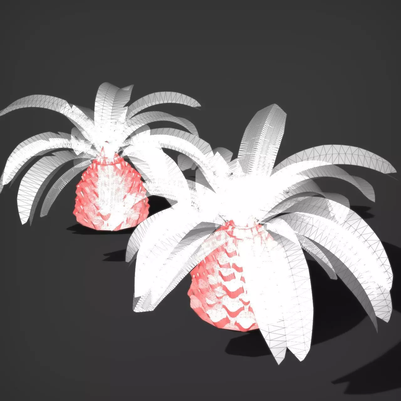 Palm Tree Pindo 3D model_6